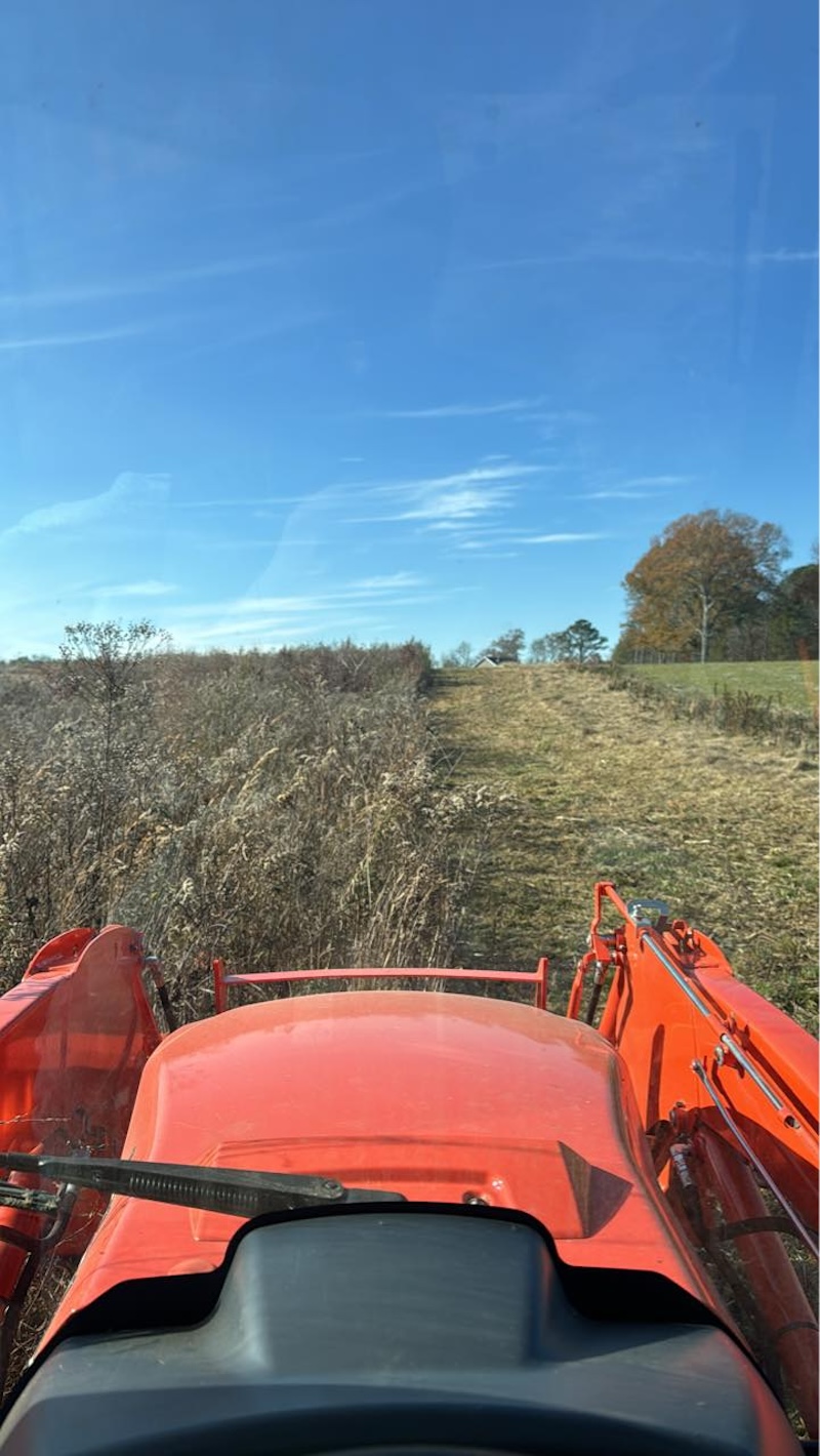 Land Clearing Professionals